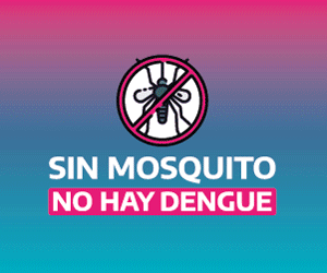 Mosquito Provincia