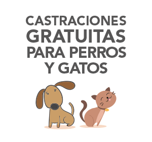 Zoonosis Quilmes